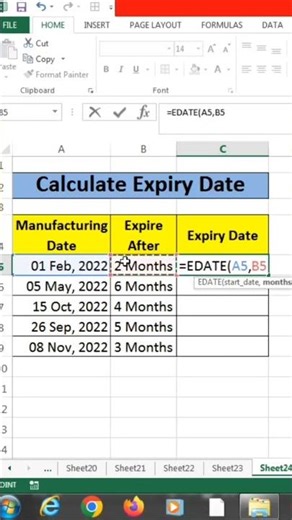 How to Auto Calculate Expiry Dates in Excel EDATE Function #excel #advanced