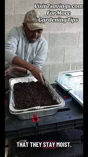 DIY Self-Watering Seed Tray for Pennies — Part 4 #gardeningtips #short