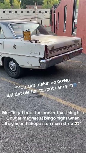 Flat tappet cam haters