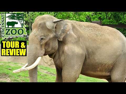 Cincinnati Zoo 2025 Tour & Review