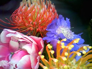 New Learn Guide: MEMENTO Focus Stacking #Camera #AdafruitLearningSystem @Adafruit