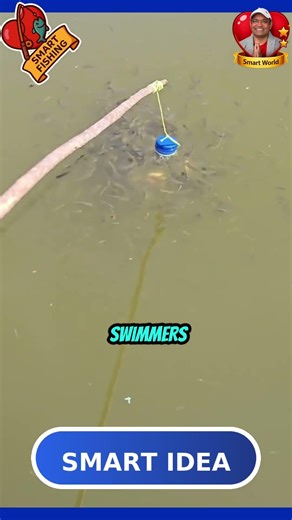 Tiny Swimmers React Instantly 🐟 #shorts
