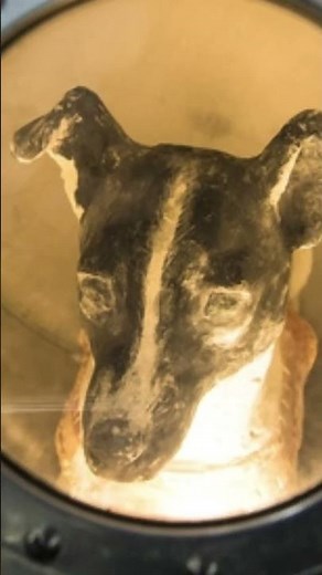 The First Living Animal in Space, Laika The Explorer | Space Series