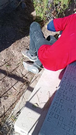 Videos de telys (@telys186) con “sonido original - telys”