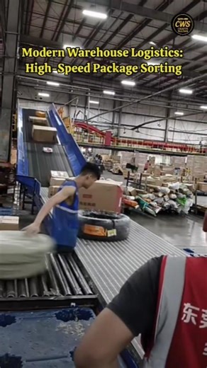 High-Speed Logistics: Advanced Package Sorting in Action 🚀 #shorts #warehouse #logistics #package