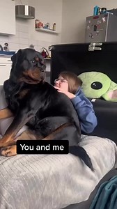 12K views · 1.1K reactions | Rottweilers are so dangerous 臘♀️ Credits to @thenicegirlx | Rottweiler Life | Facebook