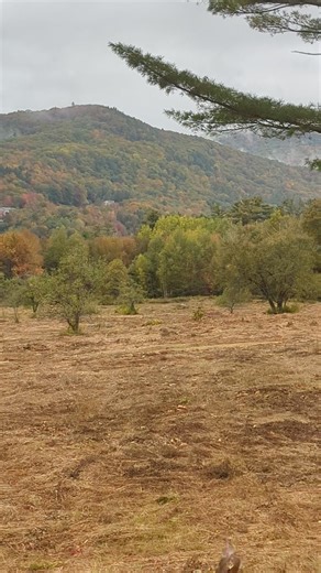 Jackson NH, Eagle Mountain House, 9 24 25 | The Nature Nomad