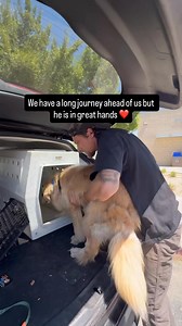 120K views · 6.5K reactions | Two nights ago on my drive to LA it got...