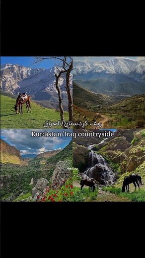 #like #معلومات_عامة #Hevi_xp #history