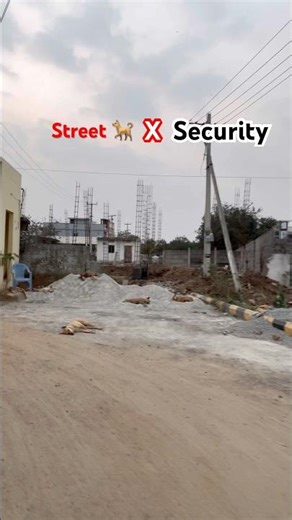 Dogs Become Z+ Security 😂 | VIP Protection Level: Paw+ 🐾 #Shorts