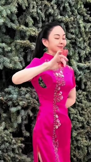 Rain Butterfly | Lyrical Chinese Dance