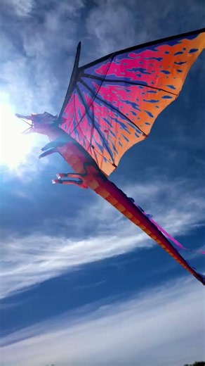 Playing with my 3 m dragon kite from XKites