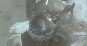 5 Most Aggressive Russian Shotgun Slugs