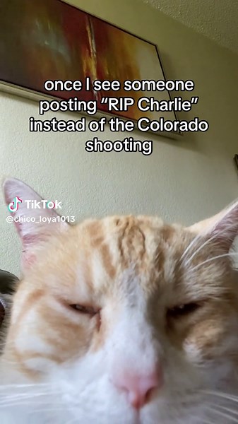 #colorado #democrat #fyp # #cats