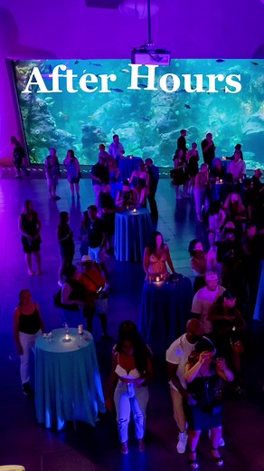 Seattle Aquarium After Hours Halloween Festivities
