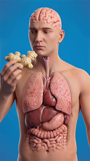 فيديوهات أنشأها Science craft (@sciencecraft96) باستخدام original sound - Science craft