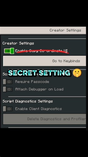 MINECRAFT SECRET SETTING 🤫 BEDROCK + JAVA