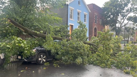 Tree On A Car In South Troy Troy, NY Currently throughout the city of Troy there is multiple trees and wires down along with road closures. Currently 1st Street between Madison Street and Monroe Street is South Troy is shut down due to a tree in the middle of the roadway on top of a vehicle. Multiple streets are currently flooded due to clogged drains. Neighbors can remove the debris from the top of the drains to allow for the water to flow down. | Sidewinder Photography