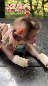 Full Story In First Cooment | Original Fan