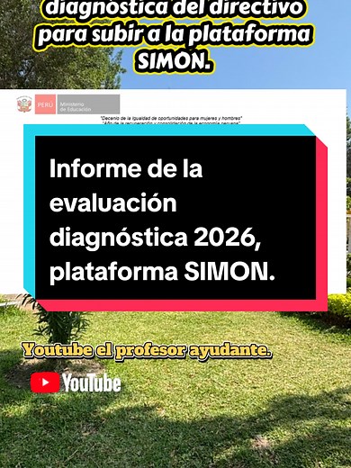 Informe Evaluación Diagnóstica Directivo SIMON