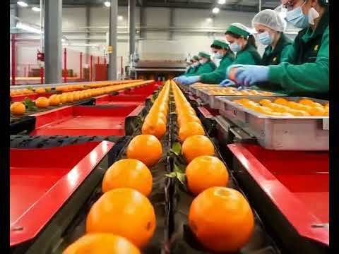 Sermac planta funcionamiento