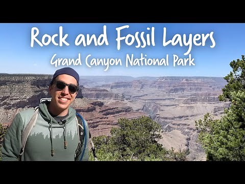 Unlocking Earth's History with Rock and Fossil Layers - Grand Canyon | OutSCIder Classroom