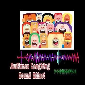 Audience laughing I funny sound effect I sound effect (Links in the the description)