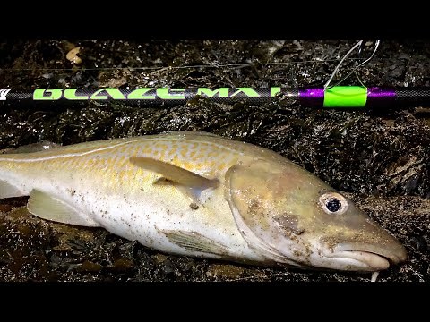 COD FISHING IN SOUTH WEST DEVON