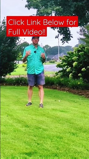 Tip, Tricks, Pros, and Cons of Zoysia Grass!!