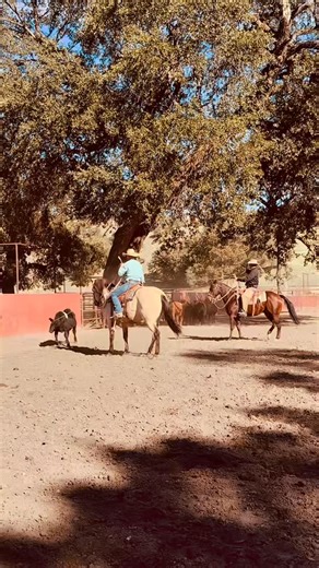 Skills Pro Roping Highlights: We ended the Skills with an exciting two-man doctoring event for our pros (and judge Chris Maxon). Four teams—Lorenzo Larrucea/Andy Lopez, Andy Camacho/David Kay, Bruce Sandifer/Chris Maxon, and Roy Pelkey/Tyrin Prince—roped two head each. A tie between Sandifer/Maxon and Camacho/Kay was broken in a one-head final round. When the dust settled, Camacho/Kay split the purse with their Calcutta buyer, John Varian. Thank you to everyone who bought teams and came out and 