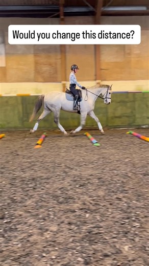 Nina Gill on Instagram: "In the last of my reels with @polyjumps for 2025, let me know what you think about the distances between the poles for the horse in this clip! Do you think they are too long, too short or just right?! A huge thankyou to Polyjumps for kindly gifting me these beautiful poles ( they are bespoke and they have a cool thing on their website where you can build your own virtual poles and play around with colours to see what works before you order! 😍) If you want to see the oth