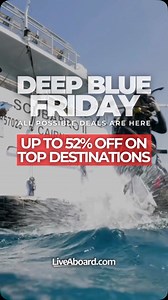 Liveaboard deals? We are the experts  Deep Blue Friday is here! ...