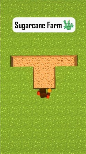 Sugarcane Farm in Minecraft 🌿 | Easy Automatic Survival Build