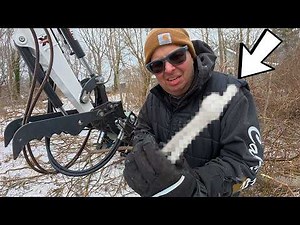 This Yard Was Hiding Something No One Expected… Then the News Showed Up