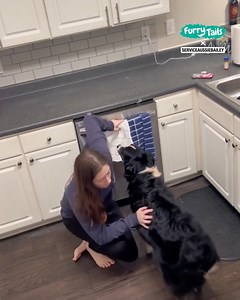 Bailey tries everything he can to improve Katie's condition. He is her hero 🐕‍🦺❤️ | Furry Tails