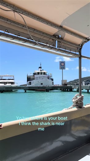 Shark Bite Adventure in Roblox