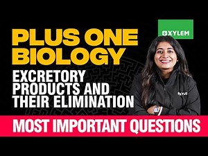 Plus One Biology | Excretory Products And Their Elimination - Most Important Questions