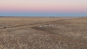 Shitbox Rally; It’s not a race, it’s an adventure that will change your life. You need a car worth less than $1,500, a co-driver, the desire to spend 7 days in remote Australia and the dedication to raise much needed money for Cancer research. Sound like fun? We promise you it is. | Shitbox Rally