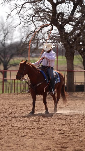 7.9K views · 177 reactions | Get your NFR outfits at Roper! Check out our new fall collection on our website by clicking the link https://eroper.com #wearthewest #roperworld #westernwear #fallcollection #westernlifestyle #western #westernfashion #cowboy #cowboylifestyle #roperboots | Roper Apparel & Footwear | Facebook