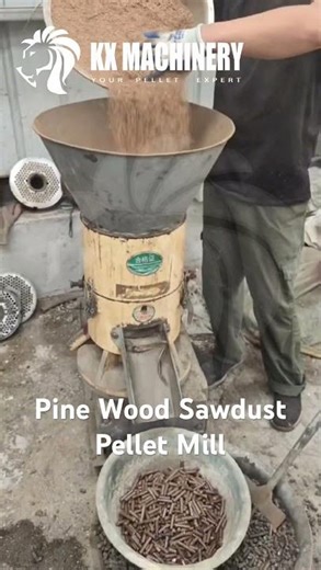 Biomass Pine Wood Sawdust Pellet Machine for Fuel Waste Wood Sawdust Pelletizer #pelletmachine