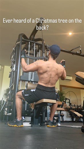 Sundip R Ved on Instagram: "Building my Christmas-tree back — one pull at a time 🎄 Parallel-grip lat pulldowns = deeper lat engagement, stronger stretch, and that wide-to-narrow taper we all chase. Less ego… more control. Shape > weight. #ChristmasTreeBack #LatPulldown #ParallelGrip #BackDay #bodyrecomposition [fitness, aesthetics, lean gains, workout, shape, definition, Bali]"