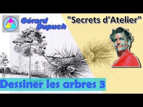 Comment dessiner un arbre - le pin