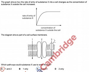 The graph shows how the rate of entry of substance X into a cel... | Filo