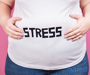 ¿Qué efecto tiene el cortisol en el aumento de peso?