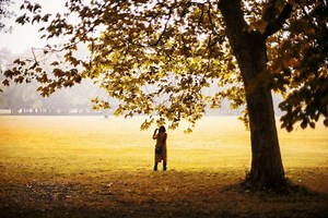 The 11 best city parks in Manchester - Lonely Planet