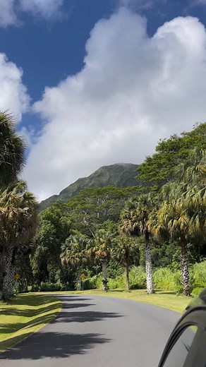 BYUH through your camera roll 📸 | BYU–Hawaii