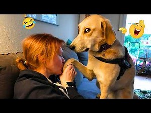 Try Not To Laugh – Funniest Dog Compilation 😂 2026
