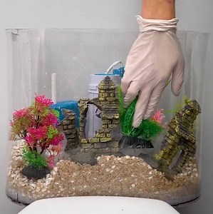 409K views · 1.8K reactions | Making underwater world right in the toilet! | 5-Minute Crafts Play | Facebook