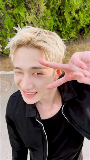 ૮¯ᴥ¯აvV #StrayKids #스트레이키즈 #방찬 #BangChan #YouMakeStrayKidsStay