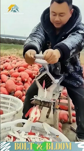 Happy Cutting Of Radishes✨